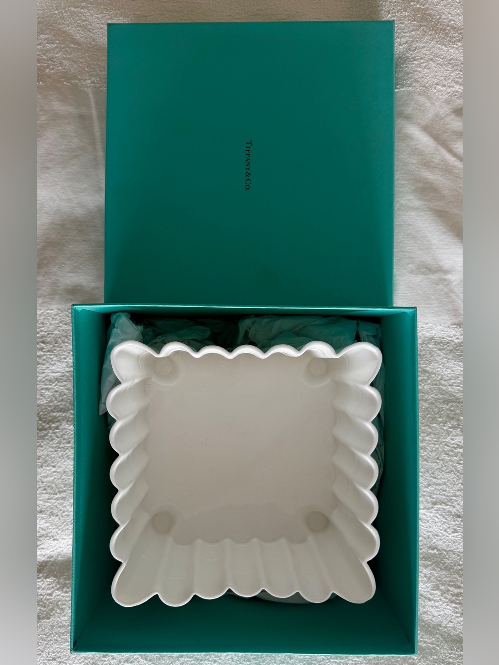 Tiffany & Co. bamboo Porcelain bowl/planter/catch all